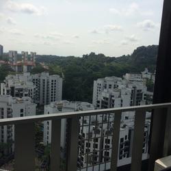 The Hillier (D23), Apartment #154810612